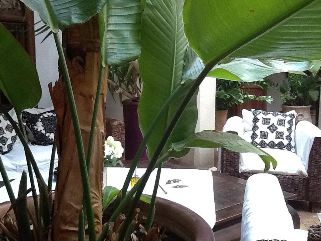Riad Mandalay Marrakesh Buitenkant foto